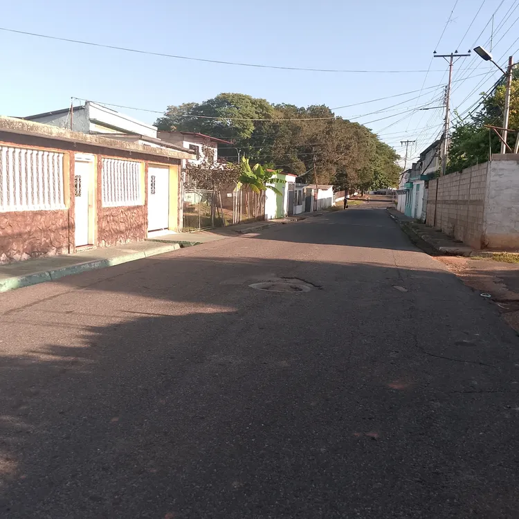 IMG_20241129_074225_451