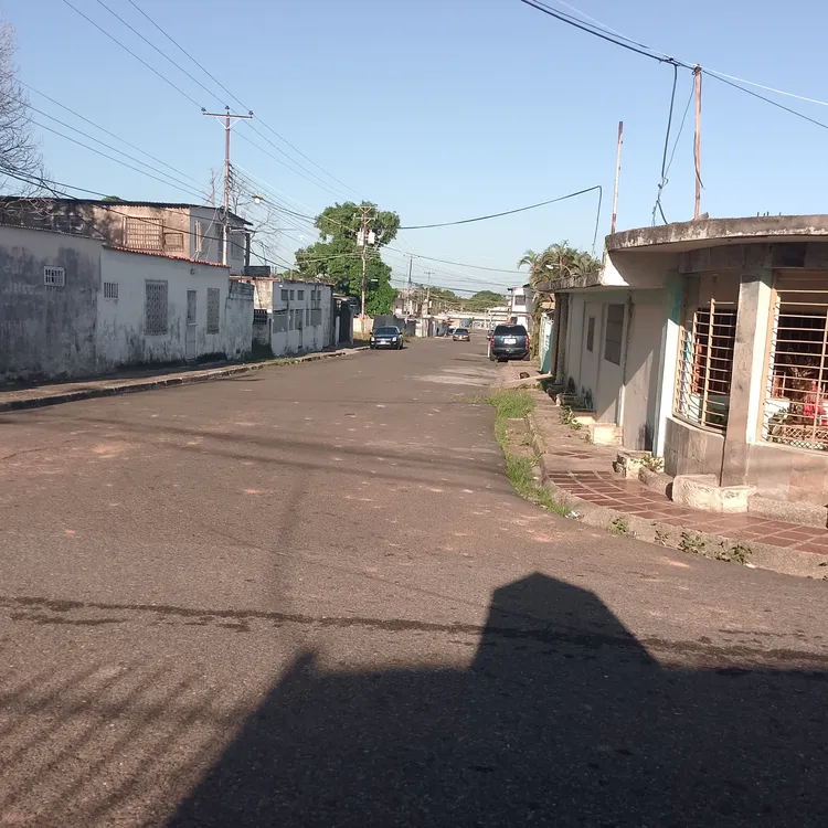 IMG_20241129_074209_343