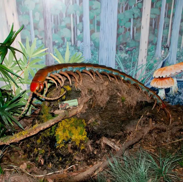 insectos-gigantes-prehistoricos-1657207154